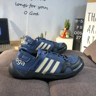 Adidas Terrex Hiking Shoes Blue Beige Shoes