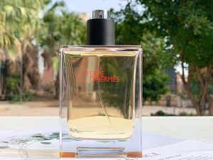 Hermès Terre d'Hermès Eau de Toilette Mise
