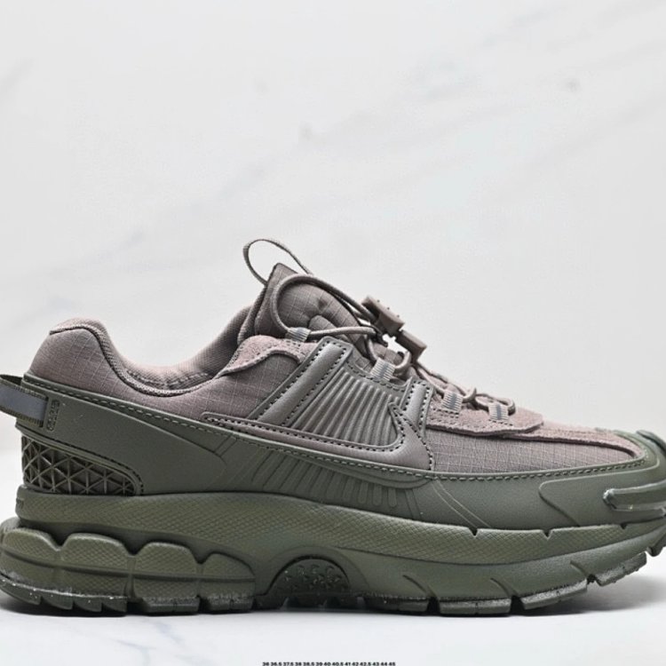 Nike ACG Mountain Fly Grey Shoes