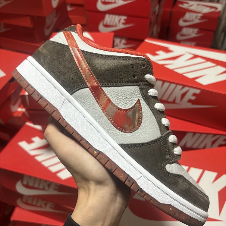 Nike Dunk Low Brown Shoes