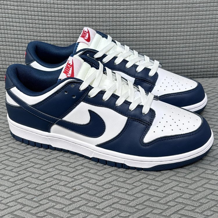 Nike Dunk Low Navy Blue Shoes