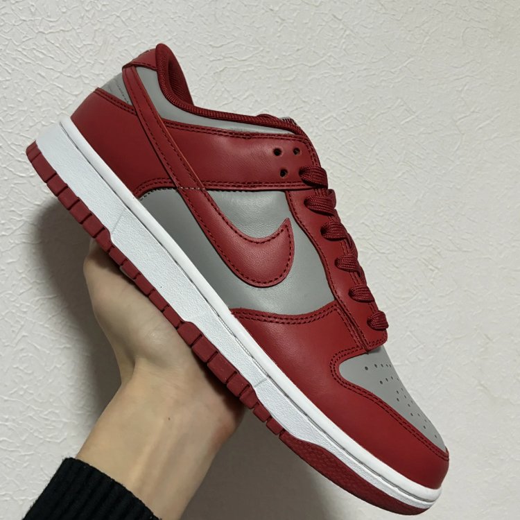 Nike Dunk Low Red Shoes