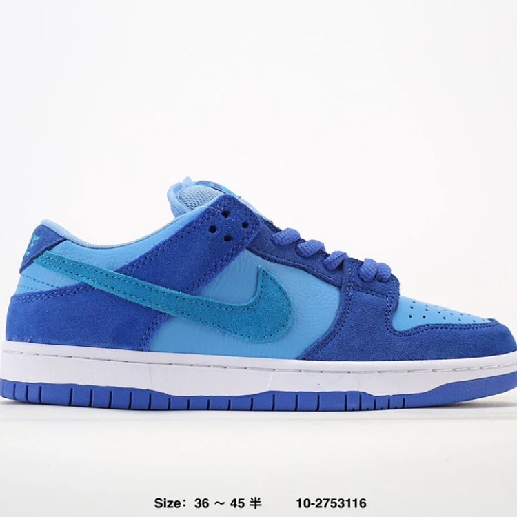 Nike Dunk Low Sneakers Blue Shoes