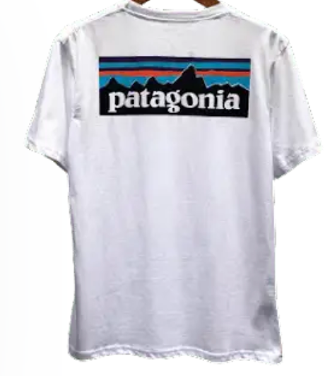 Patagonia Logo T-Shirt, White, T-Shirts