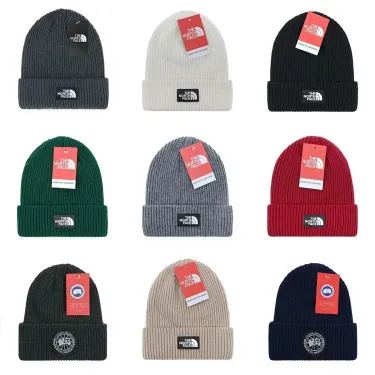 The North Face Beanies Multiple Colors Mise