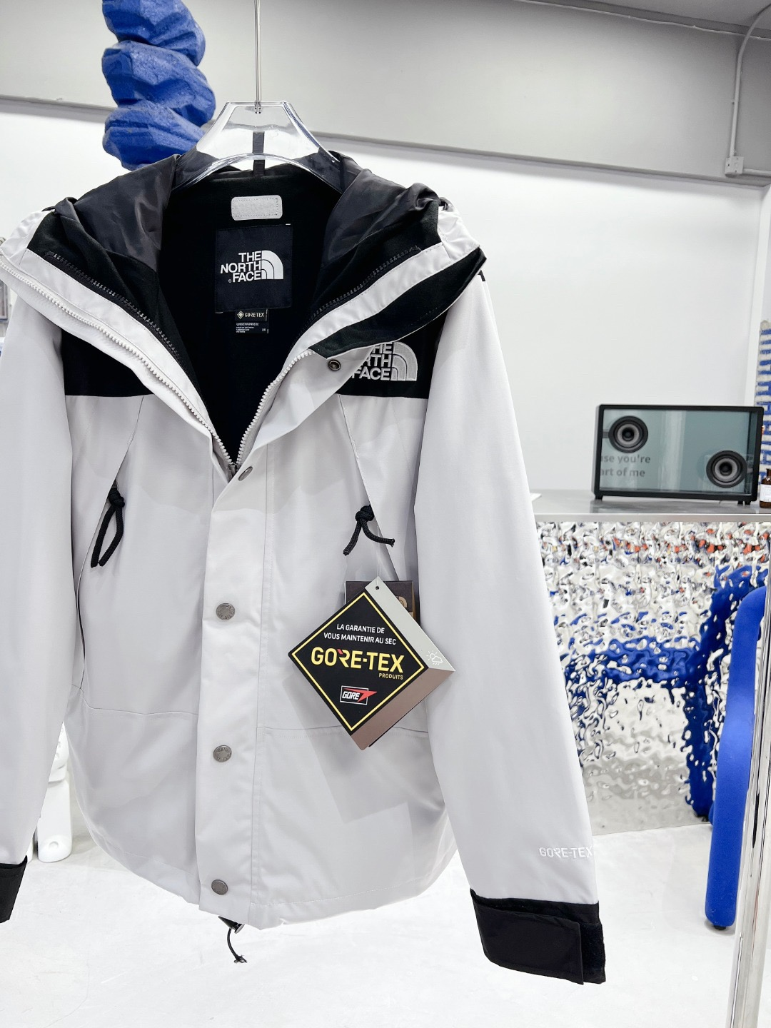 The North Face GORE-TEX Jacket White Jackets